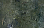 15 (site)  Memory of a Dream (II) , Oil and wax on canvas, 100x140cm.jpg