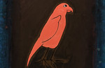 Pink_bird.jpg