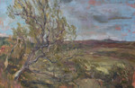 HRes oilonboard.Hawthorn on the Helmsdale River.jpg