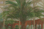 Fred Dubery, Conservatory Palm