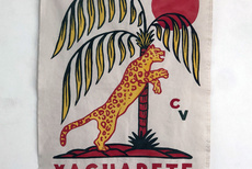 Yaguarte
