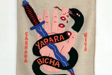 Yarara Bicha