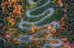 M_W50_Cheia, Carpathian Mountains Winding Road - Ciprian Ignat - Romania.jpg