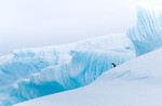 S_W30_Guard of Antarctica - Leo Rabkin - Germany.jpg