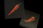 'Can't take the heat' Lucy Baker 10cmX10cm acrylic on canvas.png